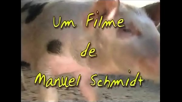 1&ordm; M&ecirc;s na Quinta da Conde - Melhores cenas