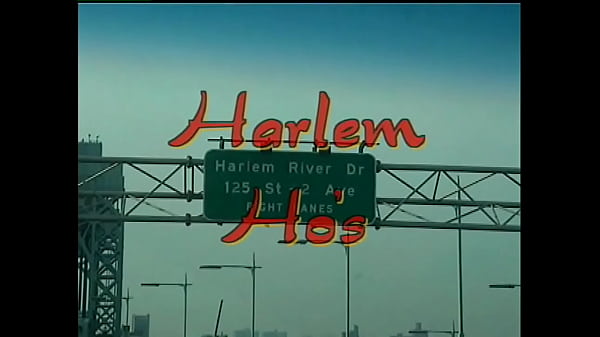 Harlem Ho's #1 (1999) - Hot black whores straight from the streets of Harlem