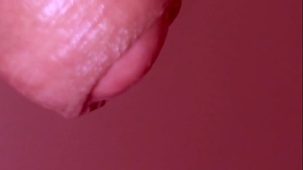 Japanese HomeStay Experience