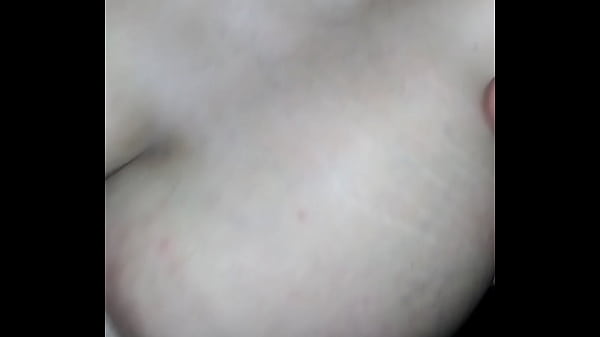 a little fun while the cats away