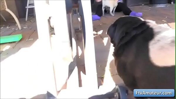 Sexy cutie babe fuck her pussy with some pencils  