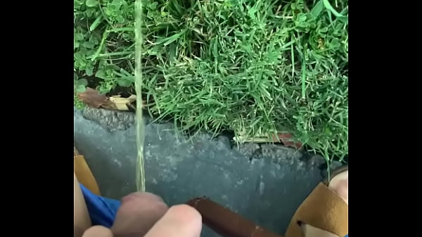 Flashing in dog park and taking a piss