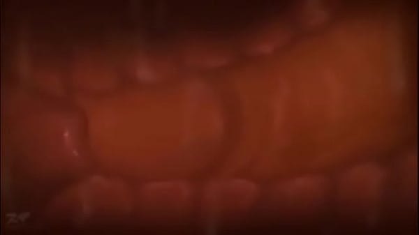 Gozando dento do &uacute;tero