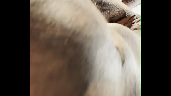 Athletic Inked Baseball Alpha Flexes His Big Muscles & Teases His Throbbing Dick (Jake Andrich / Jakipz Exclusive Trailer)  