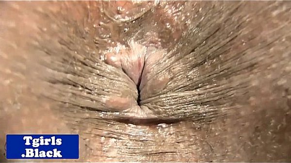 Twerking tranny showing asshole closeup  