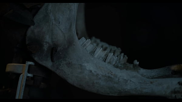 Sun Diego fickt Mois Laid Back in den Arsch