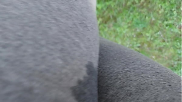 Your really horny stepsister doesn't hold back and pee around people in a park