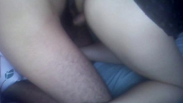 un ma&ntilde;anero de perrito