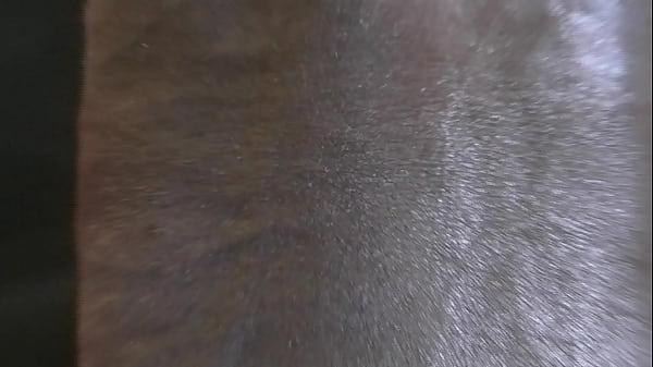 TORONTO THICKEST BLACK COCK