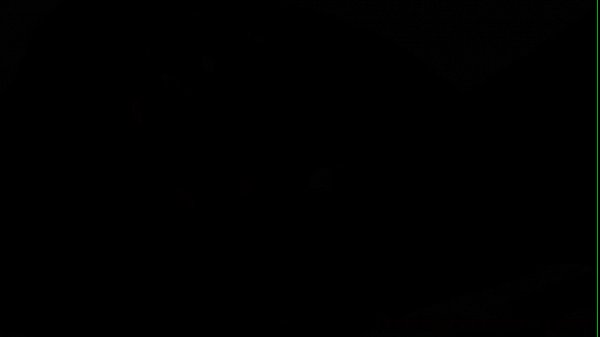 European lesbians fisting and licking pussies