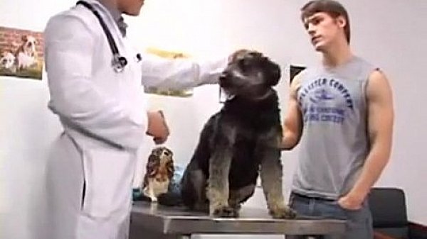 The hot boys fuck and have fun together