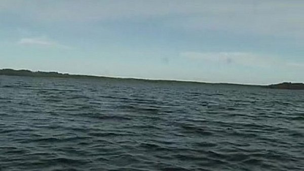 Shameless amateur couple fucking on the car back seat