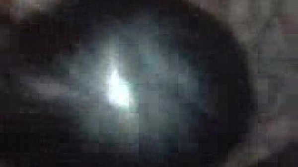 young smut sucks dude dry  