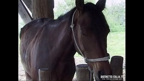 Quella guardona della mia matrigna