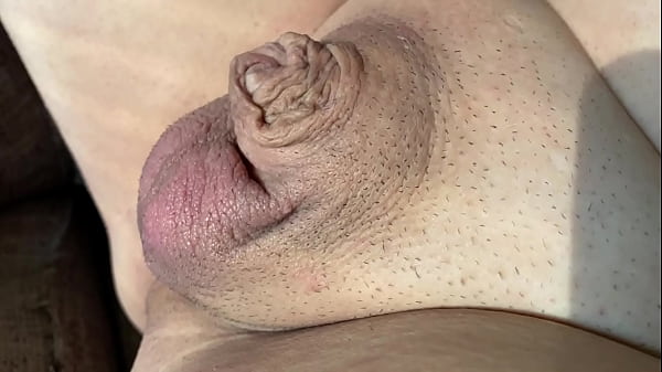 Laugh at my shriveled little cock 