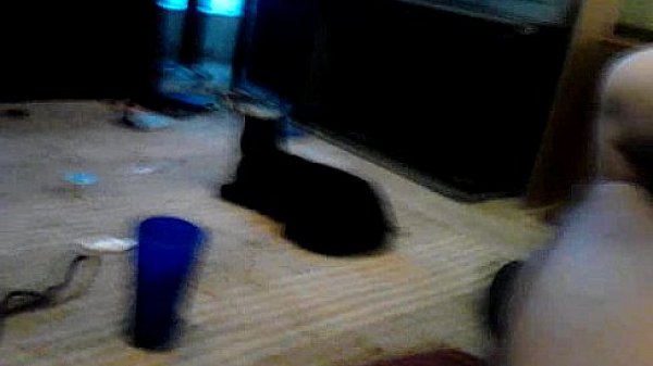 Chubby cheater sucks dick while playing with her pussy