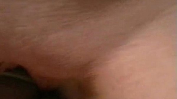 xvideos.com 0a070b2afe1bd7d68e5f36c99478d785