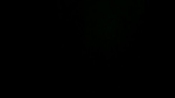 Danville va northside