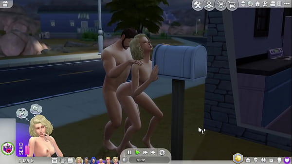 Sims nocturnos  