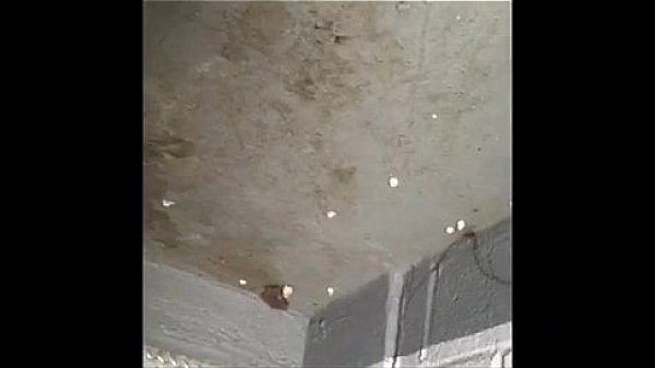 fucking that Harlem bitch again