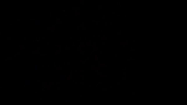 phat ass rideing bbc  