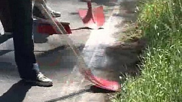 The bareback beginners 4