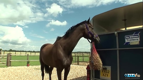 Besides her big tits the brunette milf is a master at sucking and foot fetish 