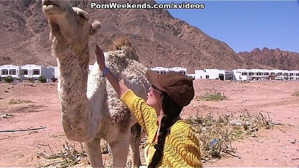 Pretty girl has sex on sandy beach