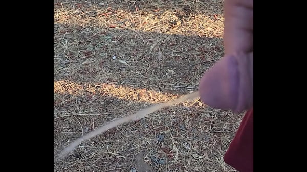 Morning piss in the homestead