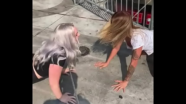 cachorra mulher de quatro engatinhando  