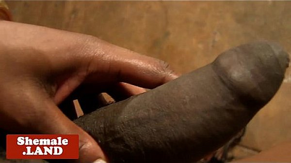 Bigtitted black tgirl teasing and tugging