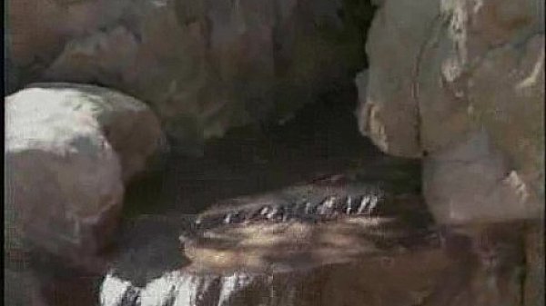 silvia saint - dolce calda silvia (with hakan serbes)