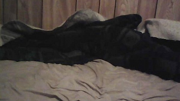 cockball play WMV V9