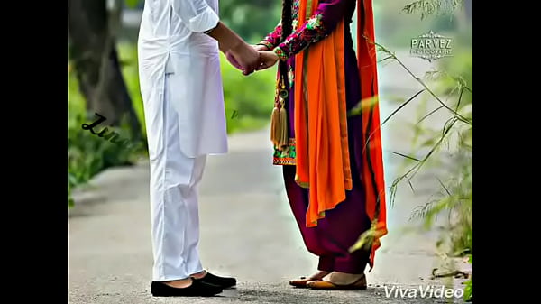 Call Girls in Ludhiana  