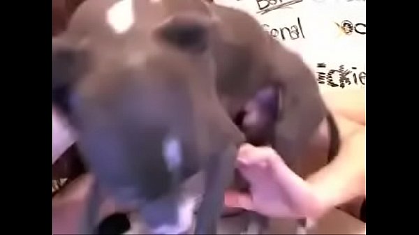 Awesome teen spreading perfect  pussy on closeup 