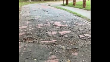 Pega&ccedil;ao gostosa no mato /Hot make-out session in the woods  