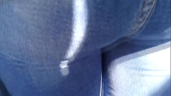 Hermosa perrita en jeans