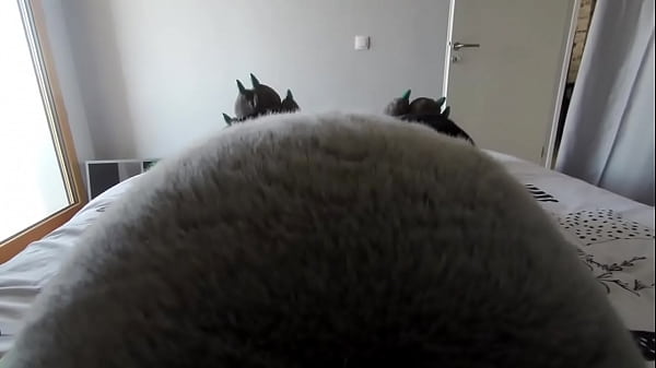 Time for your helium enema~  