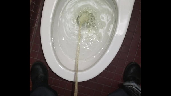 Pissing in the Toilet at Work