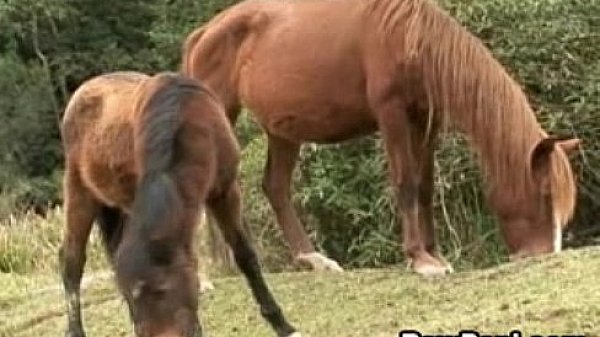 Cute Latino Gay Loves Hardcore  Bareback