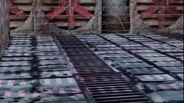 MMD Petrification Video 001