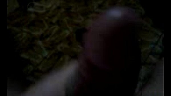 Guigo Roots na bronha 