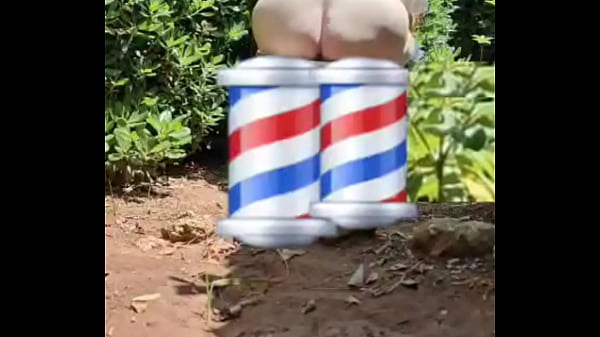 Zea812 - update #113 - 1000050490 - May 20, 2025