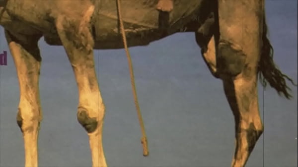 'Beauty & The Beast', My Secret Life  