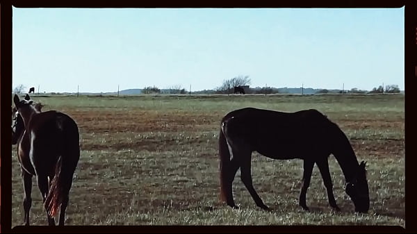 Beautiful Transwomen is Runaway Bride In Cool Video