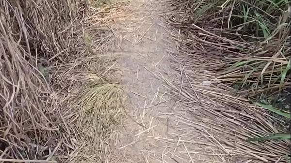 Homens na trilha fazendo pega&ccedil;&atilde;o