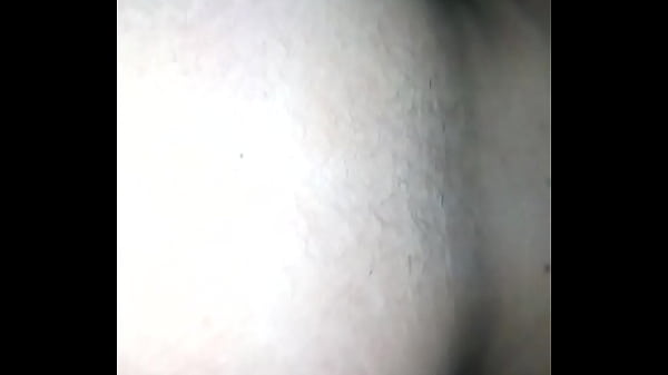 Made in Venezuela partids