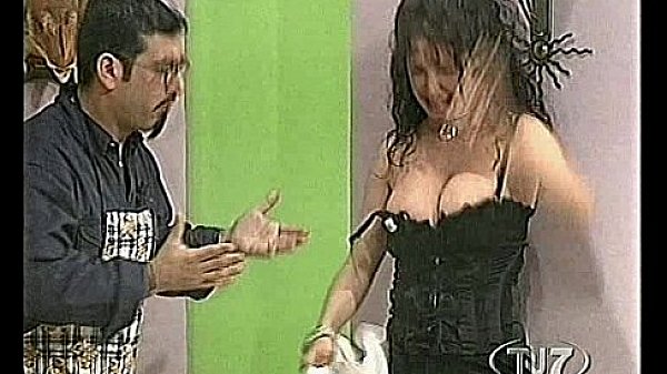 ATWD stefania & comp