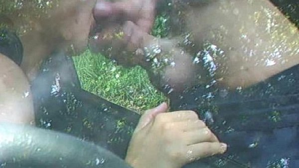 Amateur Sucks Him Off Through The Car Window
