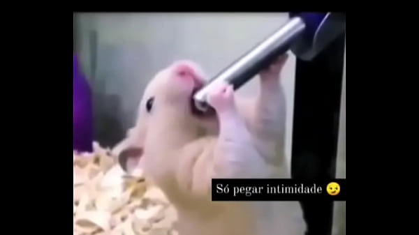 Segredo da paix&atilde;o sexshop amazonas  